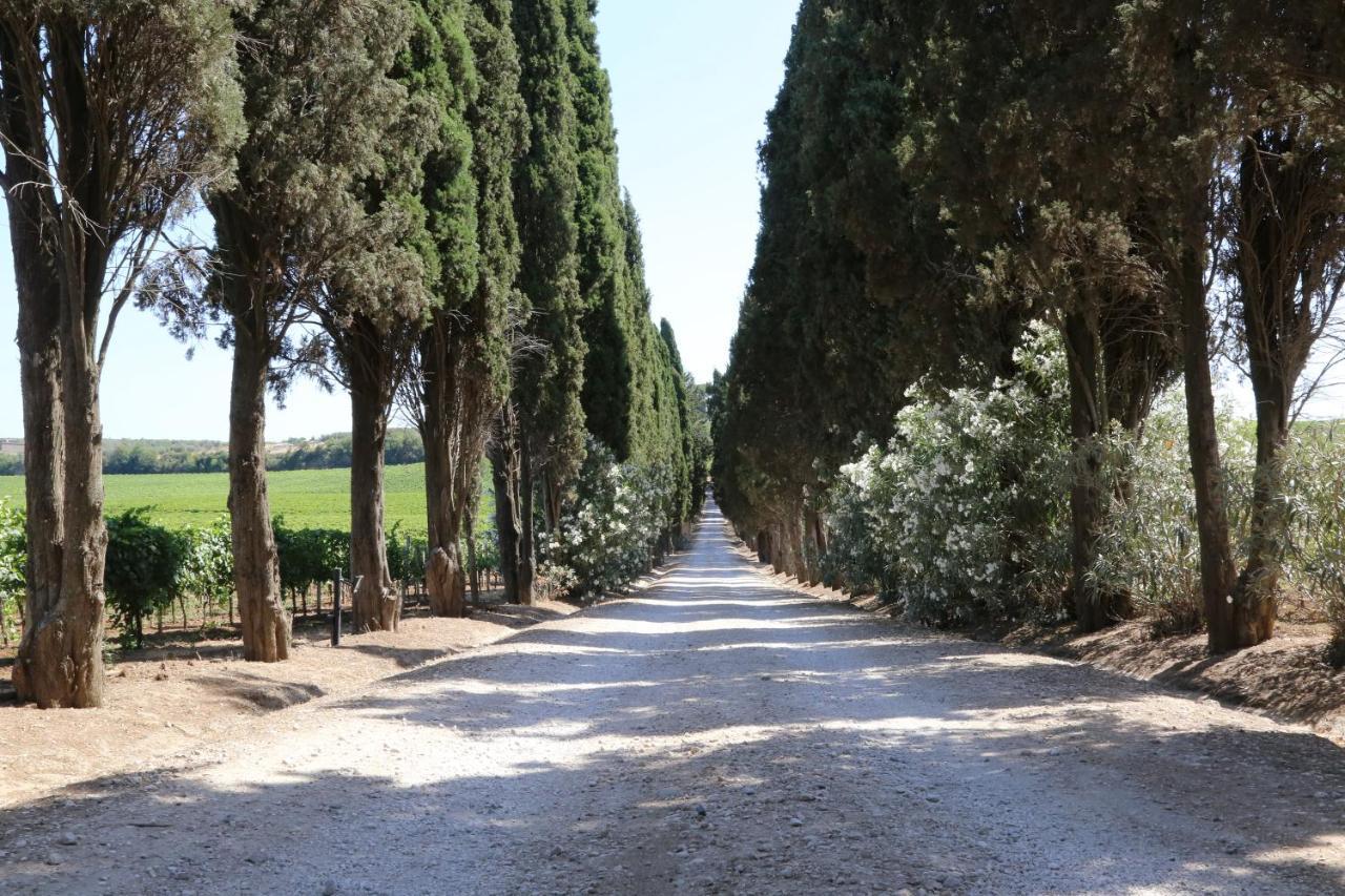 Tenuta Di Pietra Porzia Monte Porzio Catone Εξωτερικό φωτογραφία