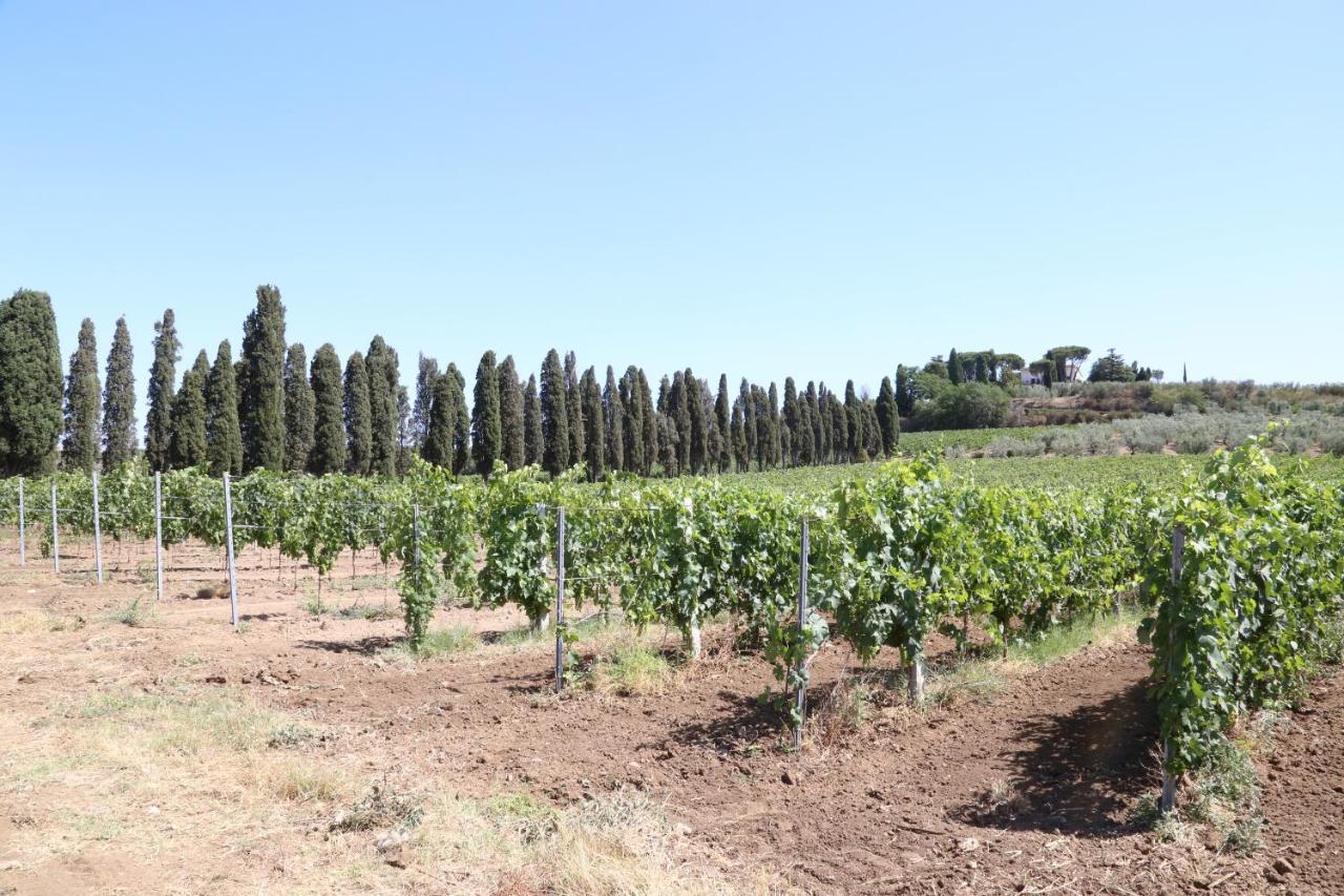 Tenuta Di Pietra Porzia Monte Porzio Catone Εξωτερικό φωτογραφία